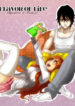 Cover 33096