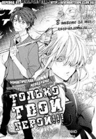 Cover 33185