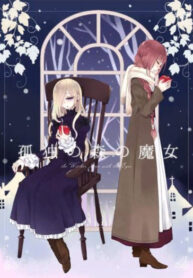 Cover 33209