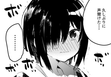 Cover 33243