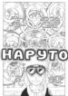 Cover 33250