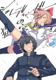 Cover 33278