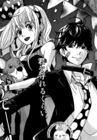 Cover 33360