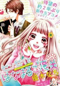 Cover 33376
