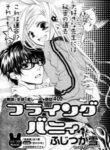 Cover 33379