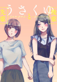 Cover 33382