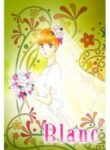 Cover 33430