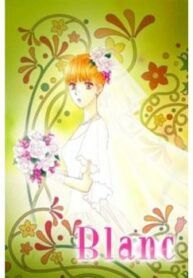 Cover 33430