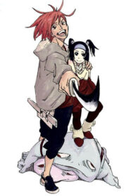 Cover 33482