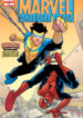 Cover 33485