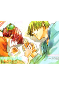 Cover 33498