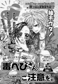 Cover 33506