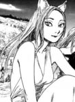 Cover 33537
