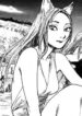 Cover 33537