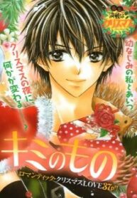 Cover 33543