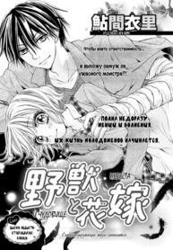 Cover 33579