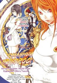 Cover 33608