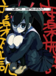 Cover 33642