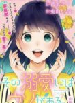 Cover 33690