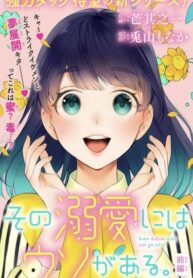 Cover 33690