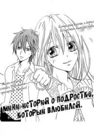 Cover 33715