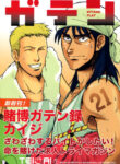 Cover 33772