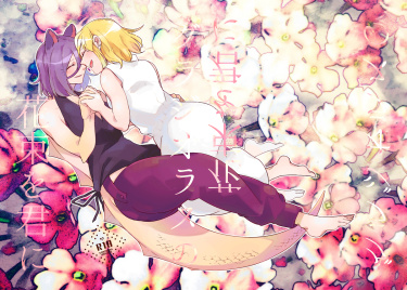 Cover 33790