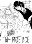 Cover 33850