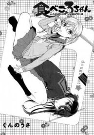 Cover 33853