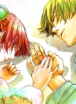 Cover 33872