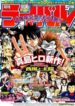 Cover 33915