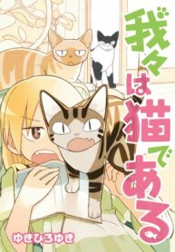 Cover 33970