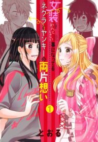 Cover 33984