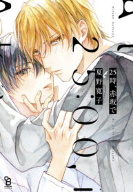 Cover 33990