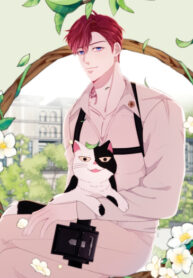 Cover 34150