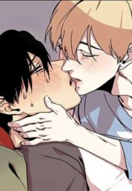 Cover 34246
