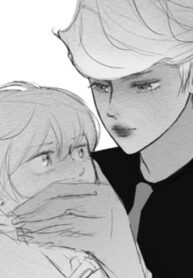 Cover 34376