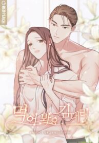 Cover 34386
