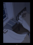 Cover 34466
