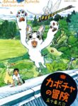 Cover 34467