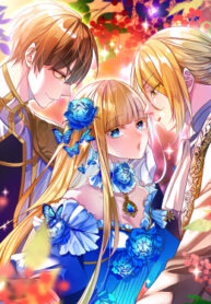 Cover 34478