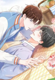 Cover 34520