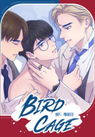 Cover 34522