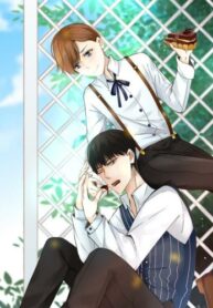 Cover 34526
