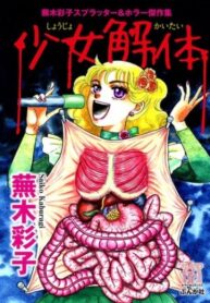 Cover 34582