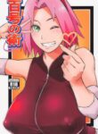 Cover 34611