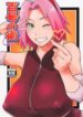Cover 34611