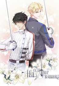 Cover 34678