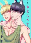 Cover 34867