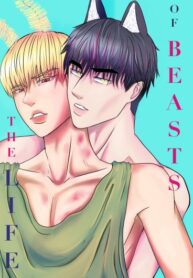 Cover 34867